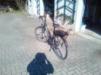 Damen E-Bike mit tiefem Einstieg Mecklenburg-Vorpommern - Ducherow Vorschau