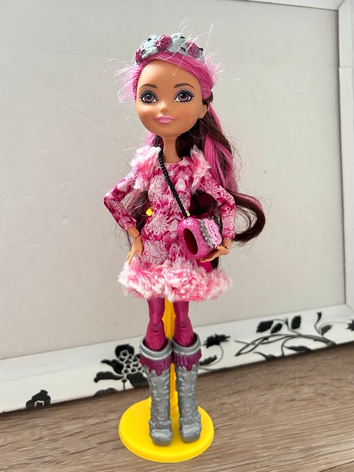 Ever After High Epic Winter Briar Puppe in Borken