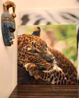 Wandbild LEOPARD Jaguar auf Baum 60x60 Leinwand Quadrat Großkatze Frankfurt am Main - Bornheim Vorschau