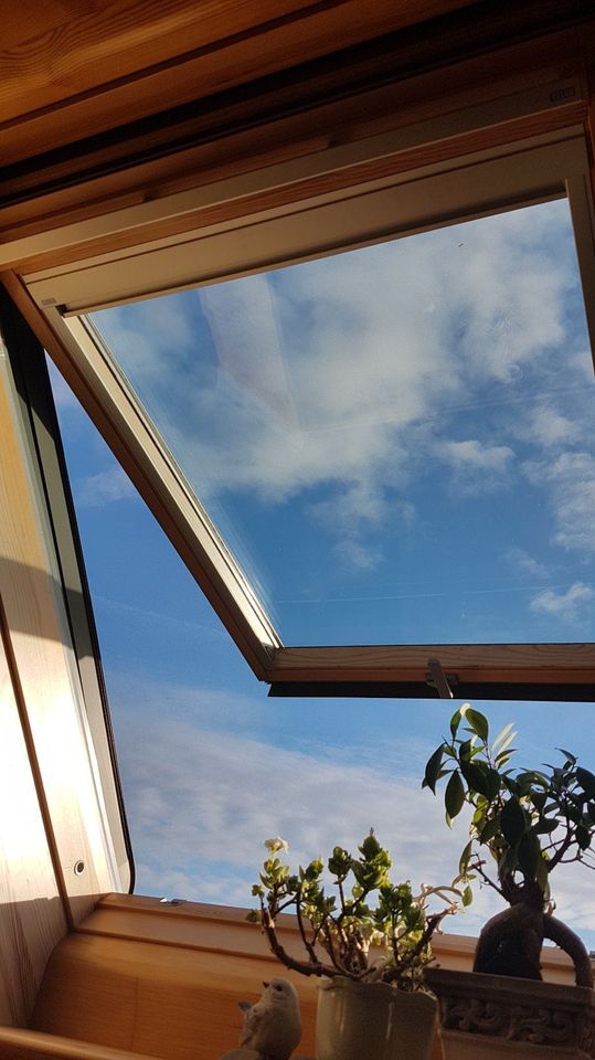 VELUX GPL Dachfenster in Wickershain (Geithain)