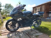 Suzuki Gsx1000r Sachsen-Anhalt - Görzig Vorschau