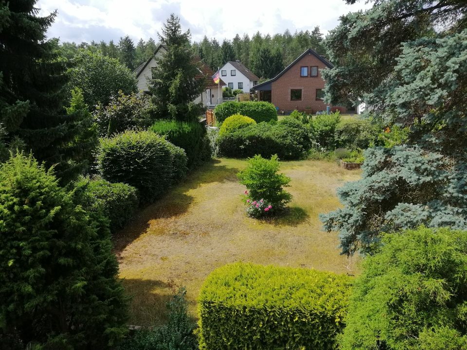 PROVISIONSFREI! Sehr schöner Bungalow in ruhiger Wohnlage mit ausgebautem DG und Keller in Faßberg