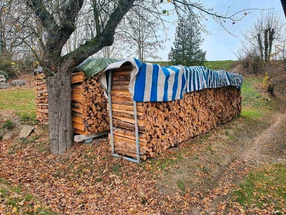 Trockenes Brennholz zu verkaufen, Buche/Eiche in Raummetern in Wabern