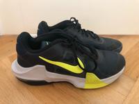 Nike Airmax Impact 4 ⭐️ Sport Turnschuhe Basketball ⭐️ 42,5 Hessen - Oberursel (Taunus) Vorschau