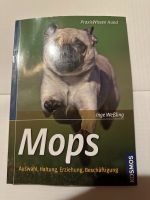 Buch Praxiswissen Hund- Mops von Inge Weßling Niedersachsen - Bomlitz Vorschau