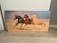 ♡ Bild Leinwand Pferde 80x40 cm ♡ Niedersachsen - Harsefeld Vorschau