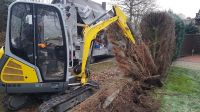 Hecke entfernen x Büsche x Sträucher x Minibagger Bagger Niedersachsen - Bad Bentheim Vorschau