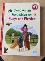 Erstlesebuch Die schönsten Geschichten von Ponys und Pferden Sachsen - Radebeul Vorschau