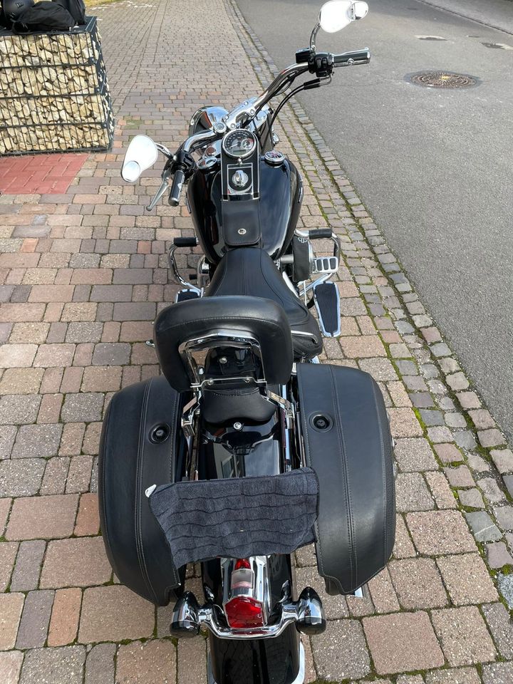 Harley Davidson Softail Deluxe in Neustadt an der Weinstraße