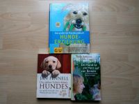 Hundebuch Tierbuch Hundeerziehung Hundegeschichte Ilmenau - Gehren Vorschau