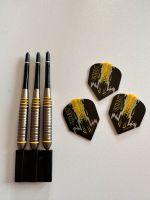 Steeldarts von Dave Chisnall neu!!! Sachsen - Obergurig Vorschau