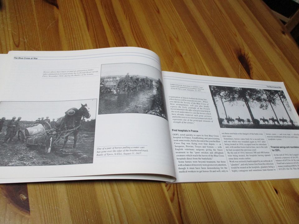 Tiere beim Militär in zwei Weltkriegen - The Blue Cross at War in Riedstadt