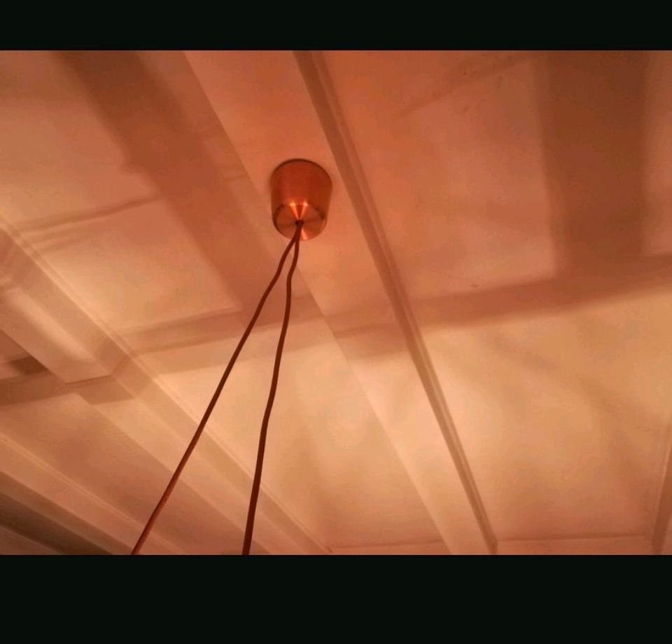 Hängelampe - Deckenlampe - Gitter/Käfiglampe in Waldems