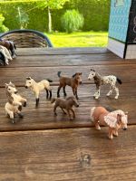 Schleich Fohlen Nordrhein-Westfalen - Tönisvorst Vorschau