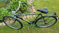 Altes Fahrrad Raleigh Hollandrad Herrenrad 28 Zoll Oldtimer Niedersachsen - Bruchhausen-Vilsen Vorschau