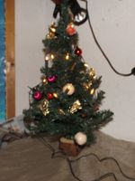 kleiner Weihnachtsbaum mit Beleuchtung Weihnachtsbaum geschmückt Hessen - Schotten Vorschau