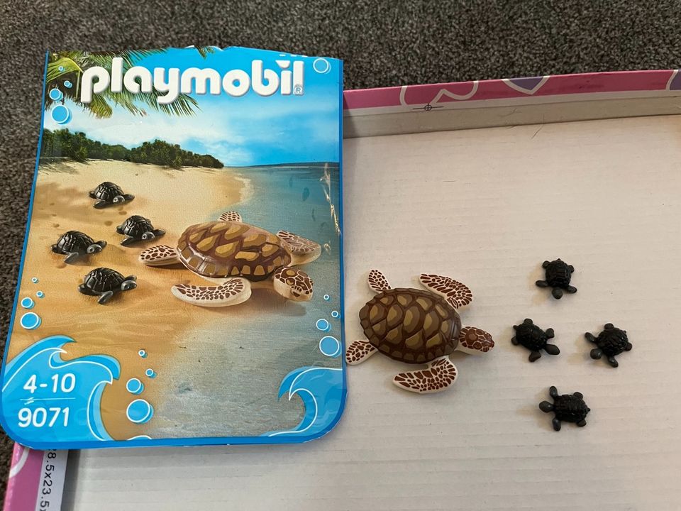 Playmobil Schildkröten in Hiltrup
