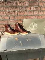 Timberland - Kenniston 6 in Lace U Glazed Ginge Women  Gr. 38 Schleswig-Holstein - Lübeck Vorschau