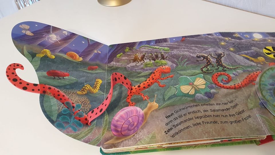 Kinderbuch # auf dem Salamander Felsen # Pop- up-Buch für 5€ in Essen