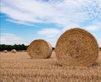 Stroh ab Feld Hessen - Wartenberg Vorschau