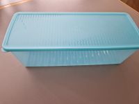 Tupperware Prima Klima grün groß 38cm lang Wurster Nordseeküste - Nordholz Vorschau