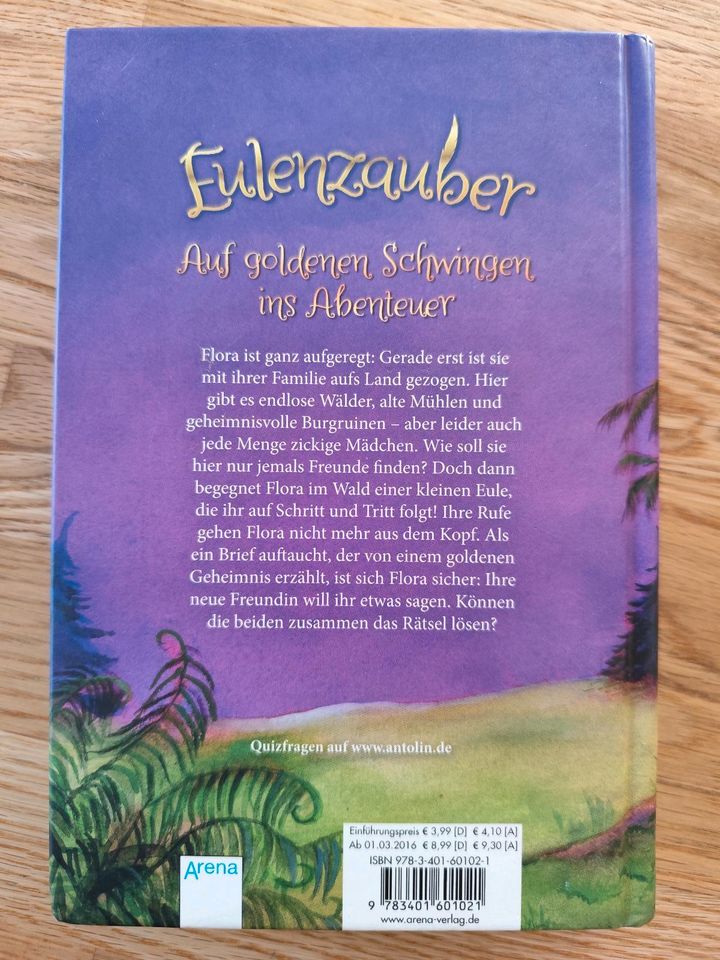 Buch Eulenzauber, ein goldenes Geheimnis in Sommerhausen Main