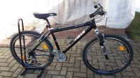 Focus Mountainbike 26 Zoll schwarz Damenfahrrad Jugendfahrrad Bayern - Spiegelau Vorschau