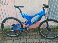 Specialized Enduro Mountainbike Fully XL Hessen - Groß-Gerau Vorschau