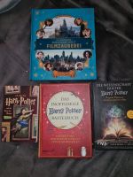 Harry Potter Themen Bücher Paket Findorff - Findorff-Bürgerweide Vorschau