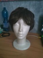 Cosplay wig Braun kurz Niedersachsen - Bad Bentheim Vorschau