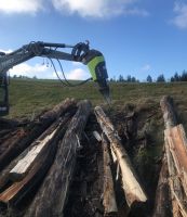 Lasco Kegelspalter, Holzspalter, Bagger, Rückewagen, Schlepper Bayern - Simbach Vorschau