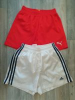 Jungen Shorts Sportshorts Trainingsshorts 152 PUMA ADIDAS Niedersachsen - Celle Vorschau