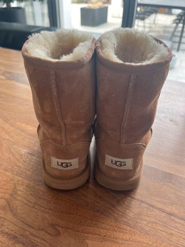 Original Ugg Stiefel Braun Gr.37 in Aldingen