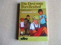 Kinderbuch Die Drei vom Forellenhof 1978 Hessen - Immenhausen Vorschau