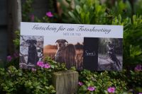 Geschenk Gutschein| Fotografin | Fotoshooting Pferd Hund Schleswig-Holstein - Rendsburg Vorschau