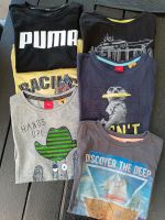 6 T-Shirts s.oliver, Puma, Salt and Pepper Niedersachsen - Wagenfeld Vorschau