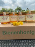 Frischer Honig Frühjahrsblüte/Obstblüte absolut naturbelassen Nordrhein-Westfalen - Selm Vorschau