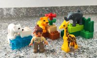 Lego 4962 Duplo Zoo Tierbabys Baden-Württemberg - Bruchsal Vorschau