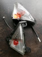 Kawasaki Z 1000 Blinker Rheinland-Pfalz - Gimbsheim Vorschau