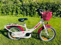 FALTER Kinder Fahrrad 16Zoll Mit Korb Rheinland-Pfalz - Sinzig Vorschau