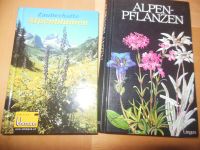 Alpenblumen und Alpenpflanzen zusammen 6 Euro Bayern - Kirchheim in Schwaben Vorschau