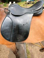 Schicker kurzer Kavalkade Vielseitigkeits-Sattel Fidelio Pferd Nordrhein-Westfalen - Bottrop Vorschau