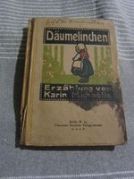 Däumelinchen altes Buch antiquarisch  ca. 1920 Berlin - Treptow Vorschau