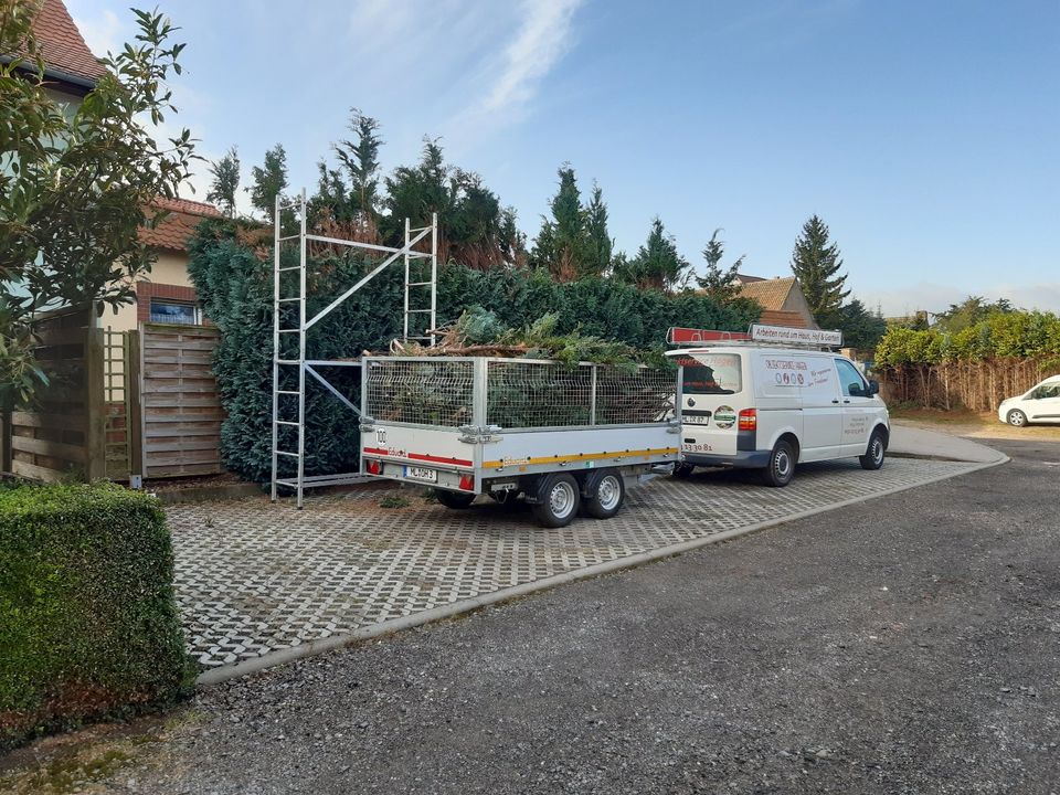 Grünschnitt Rasenmähen Heckenschnitt Baumpflege Gartenarbeit usw. in Mansfeld