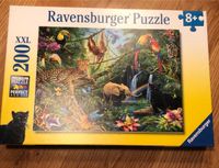 Ravensburger Puzzle ab 8Jahre München - Trudering-Riem Vorschau