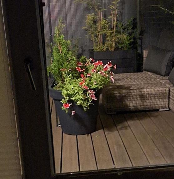XXL Pflanzkübel, Blumenkasten, Blumentopf Ø 58 cm Top anthrazit in Hannover