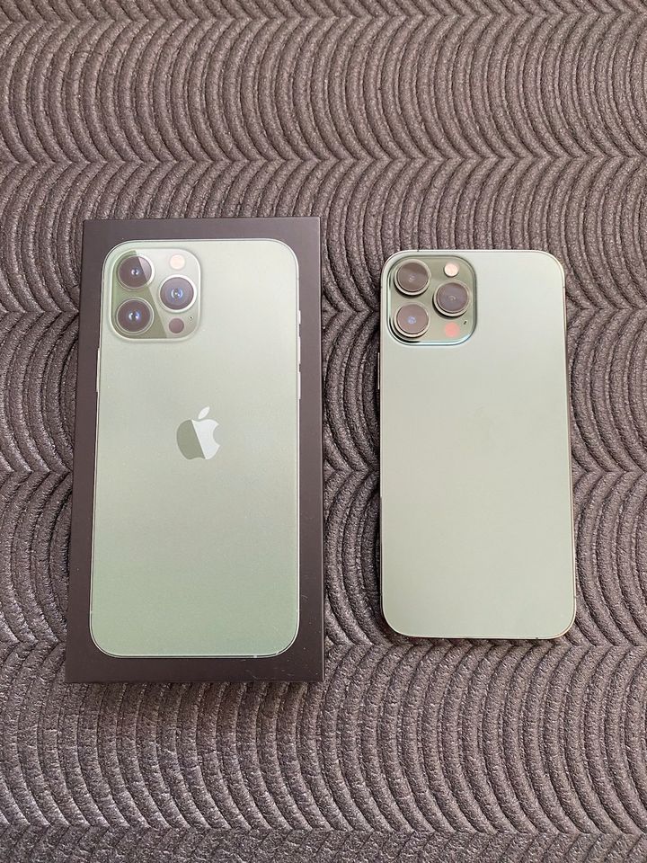 V/T iPhone 13 Pro Max Alpine Green in Halle