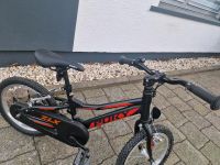 Kinder Fahrrad Neu Rheinland-Pfalz - Rennerod Vorschau