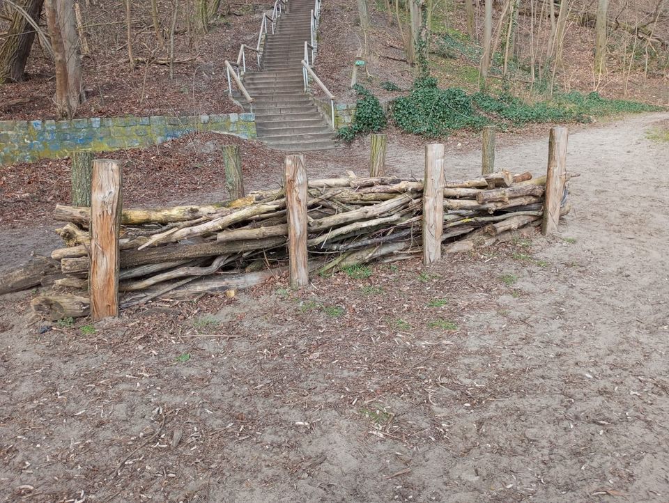 Gartenarbeit, Grundstück beräumen, Äste häckseln in Berlin