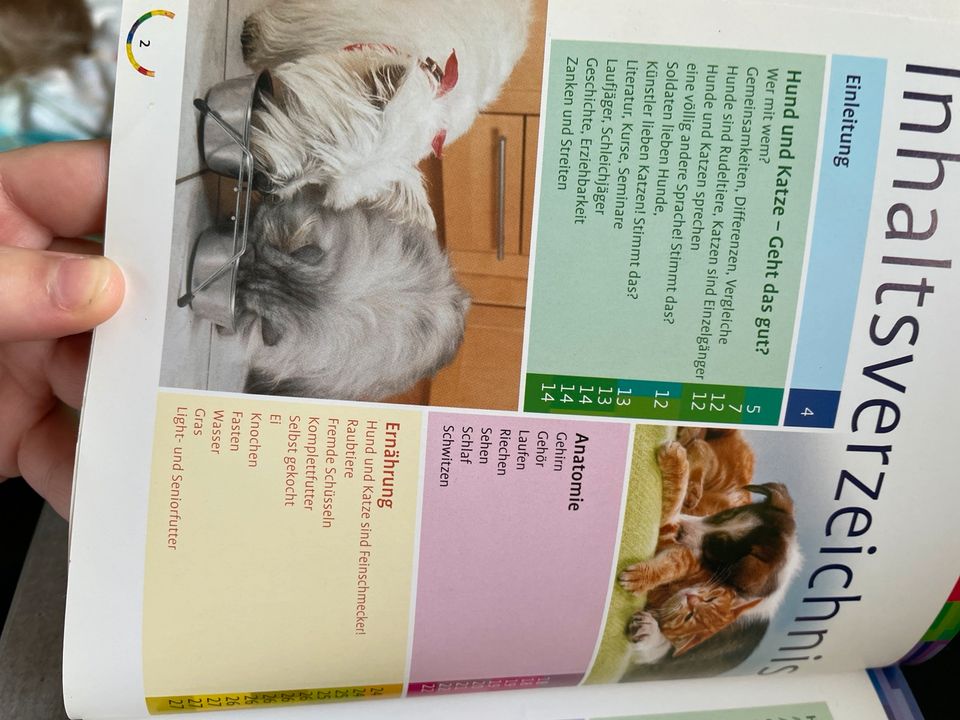 Hund und Katze gemeinsam halten - Buch - Erziehung & Tipps in Herne